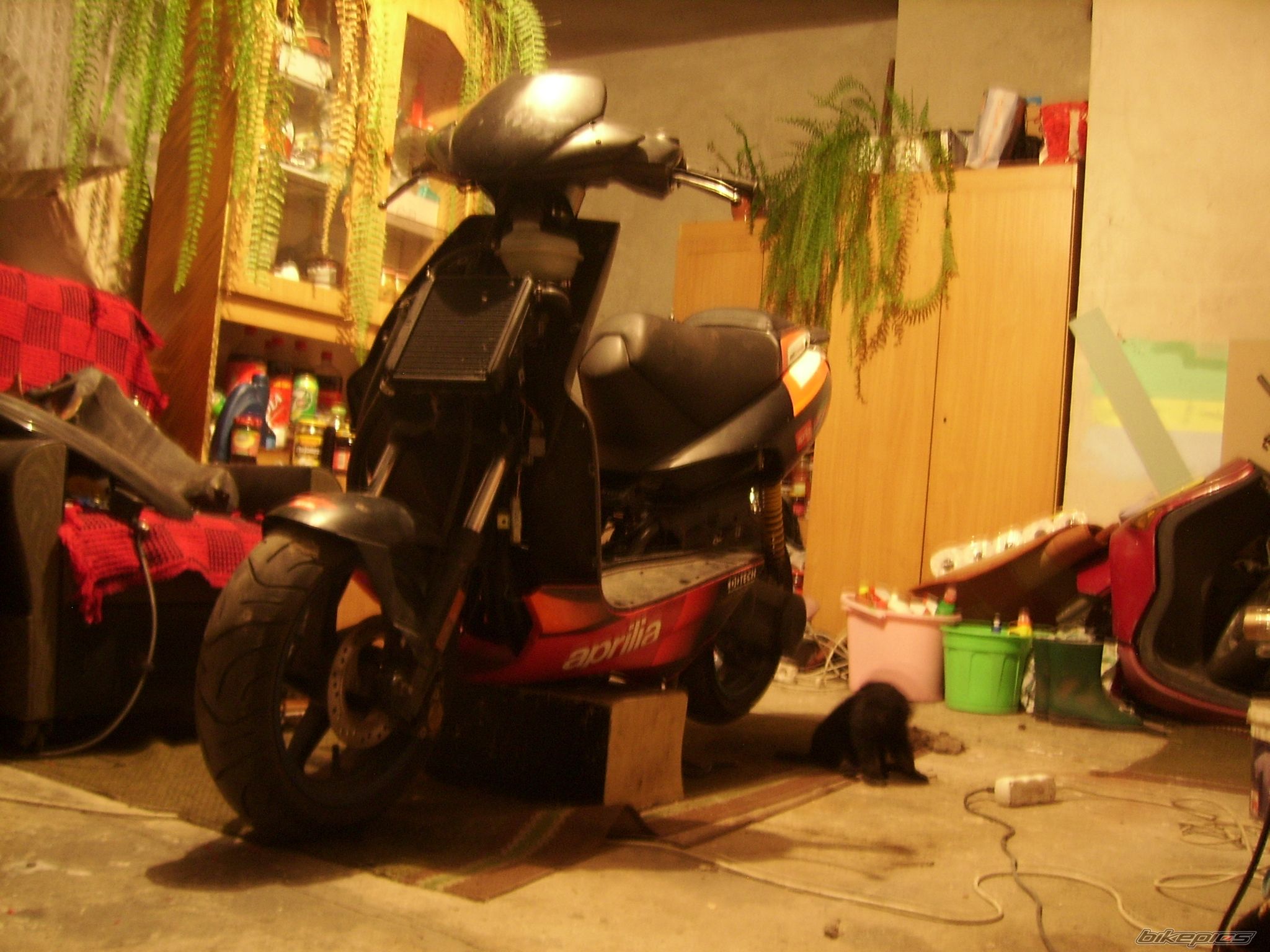 Bike Photo 2301894