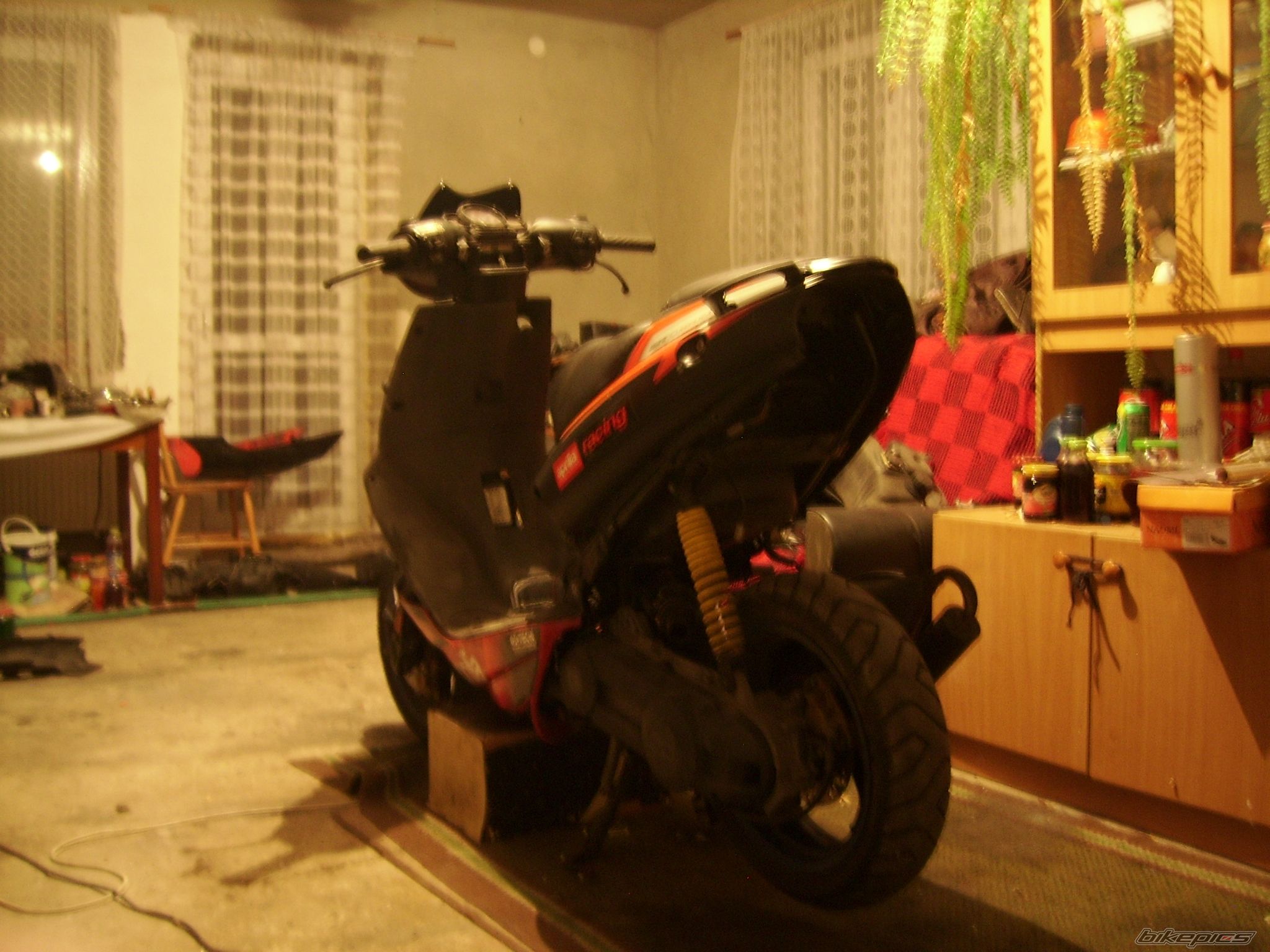 Photo 2301898