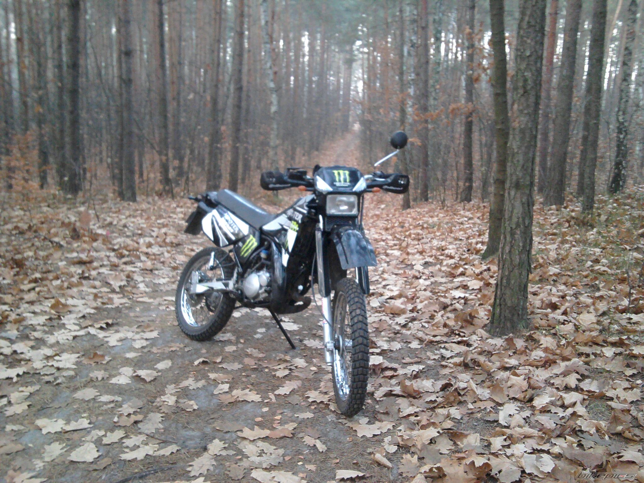 Bike Photo 2301996