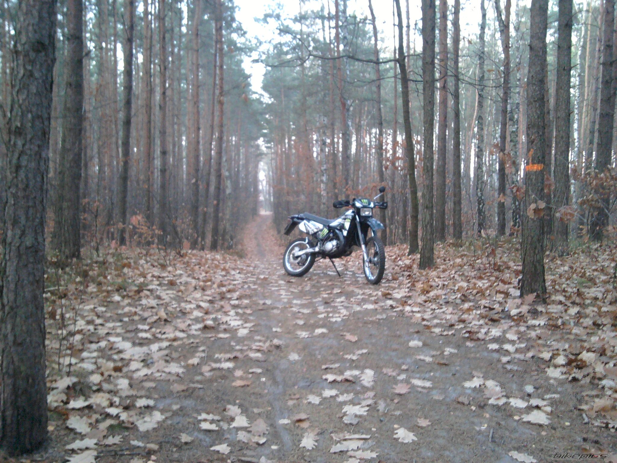 Photo 2301999
