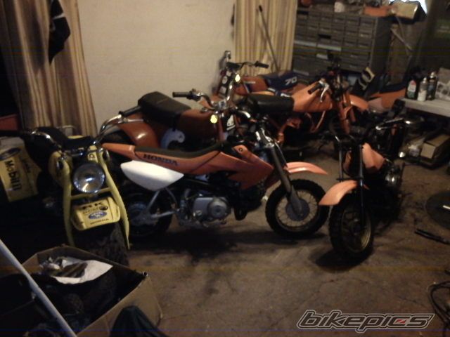 Photo 2302020