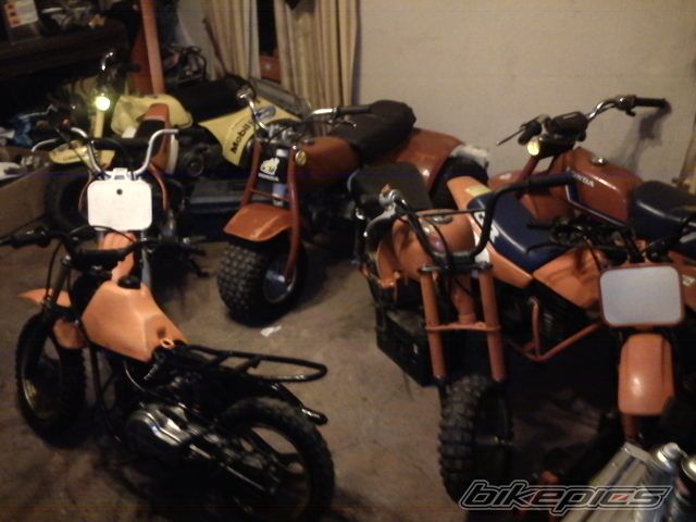 Photo 2302021