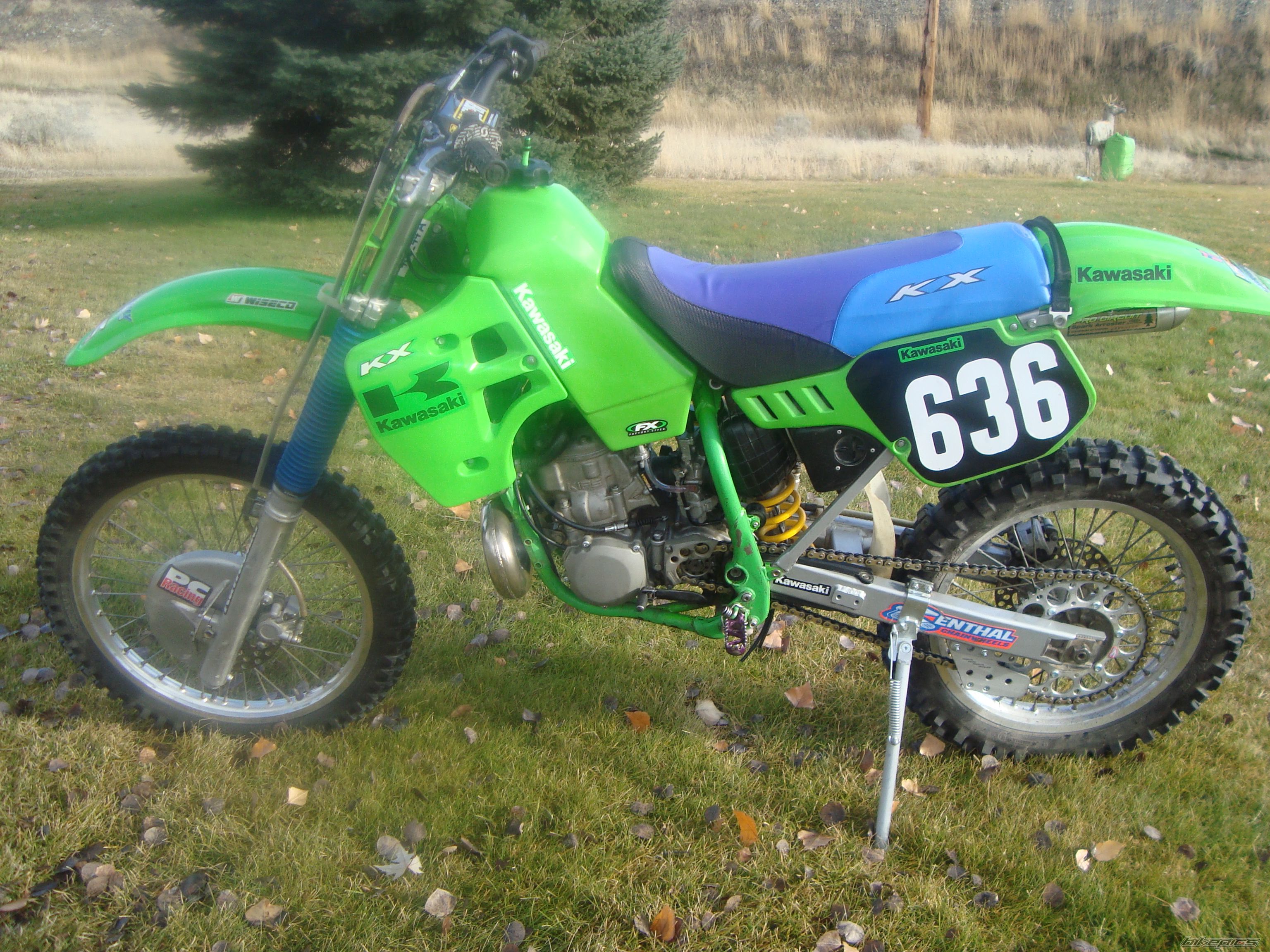 Bike Photo 2302025
