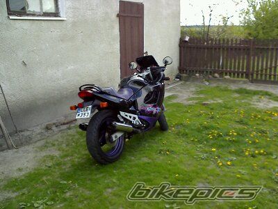Photo 2302244