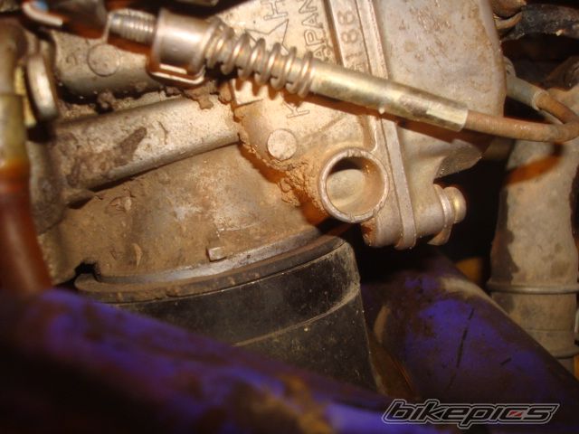 Photo 2302330