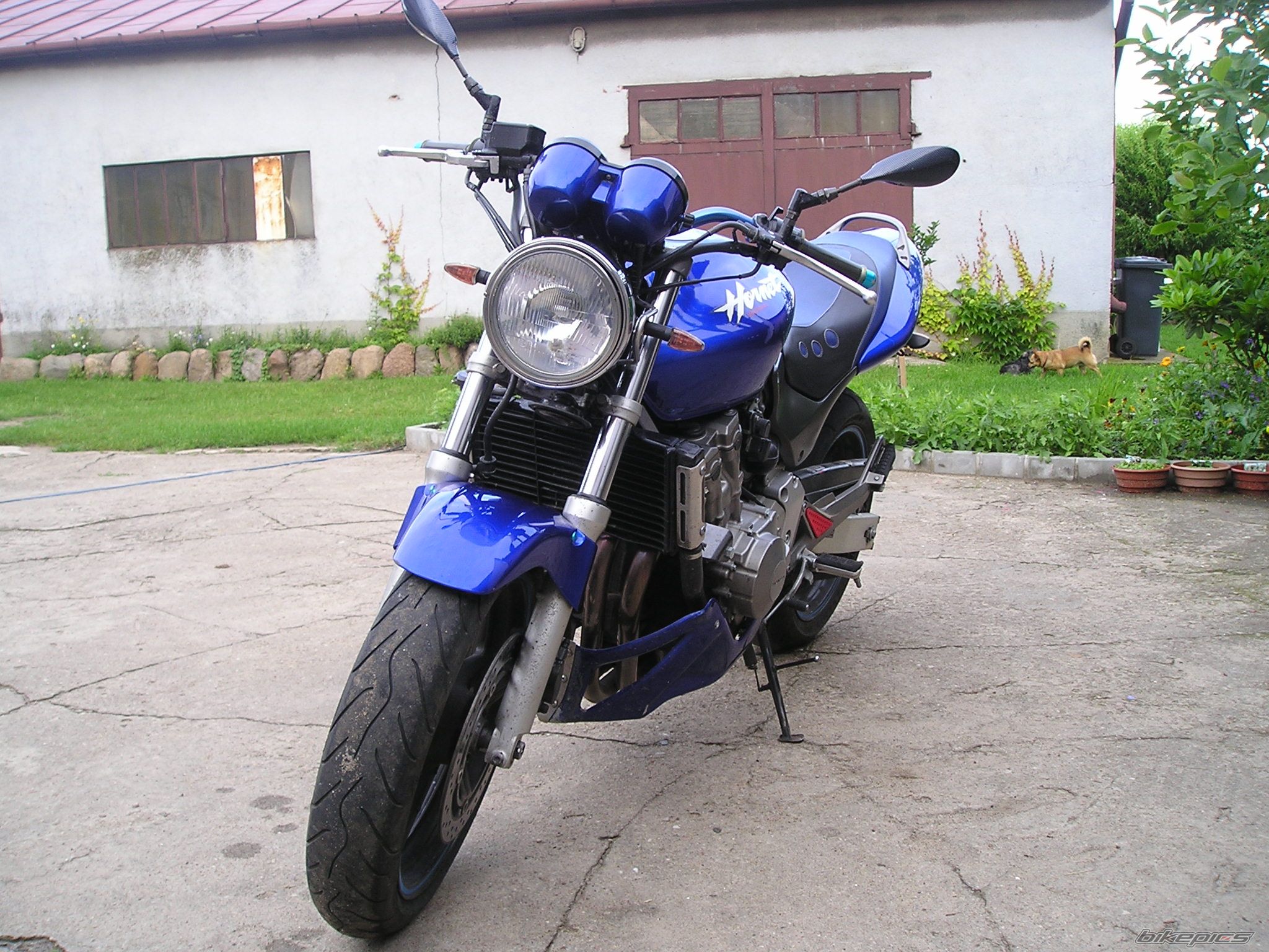Photo 2302426