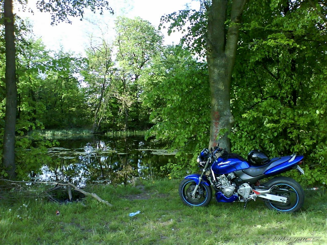 Photo 2302428