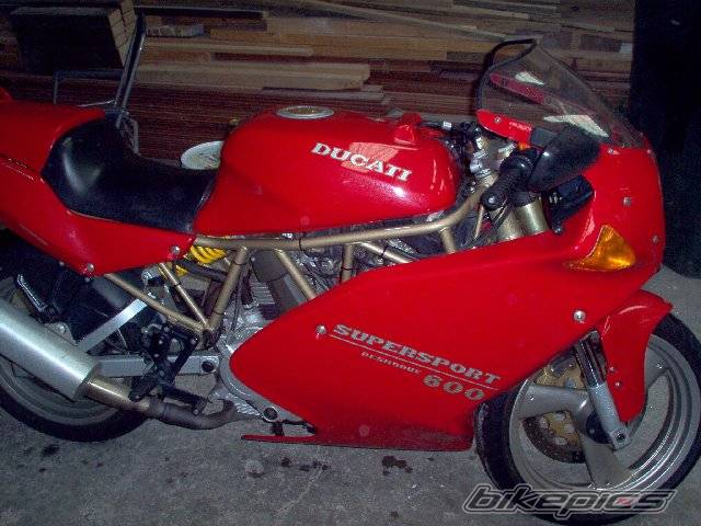 Photo 230243
