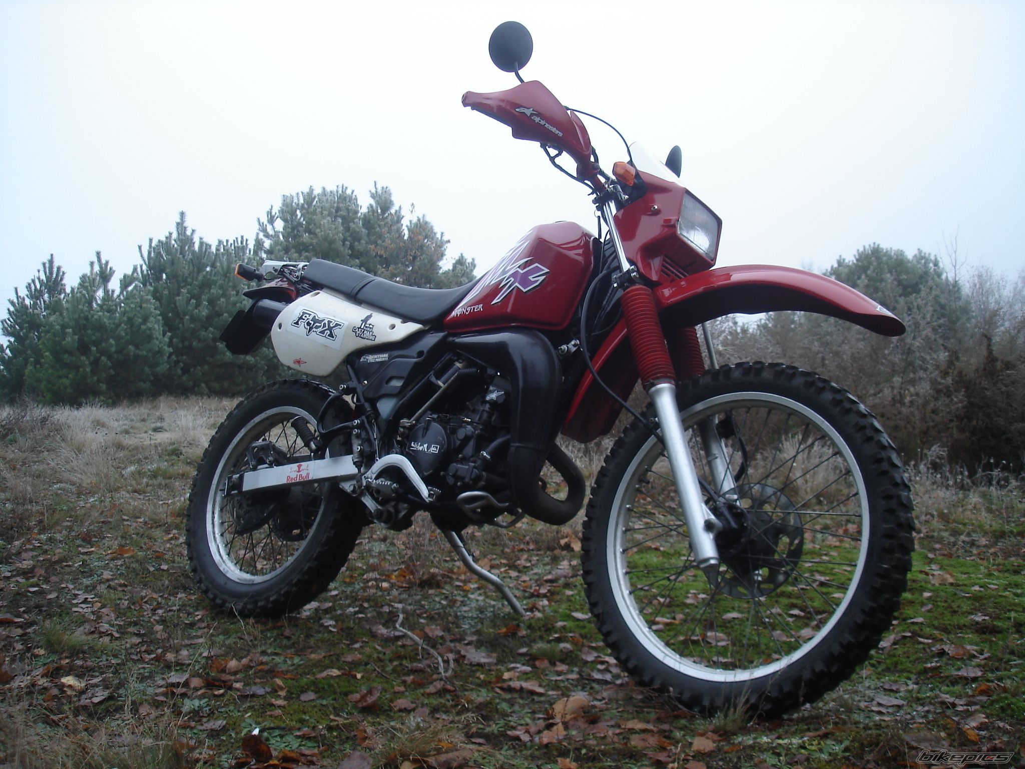 Photo 2302532