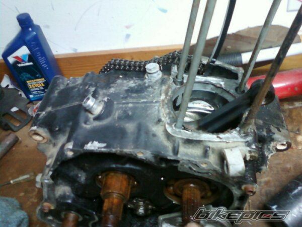 Bike Photo 2302603