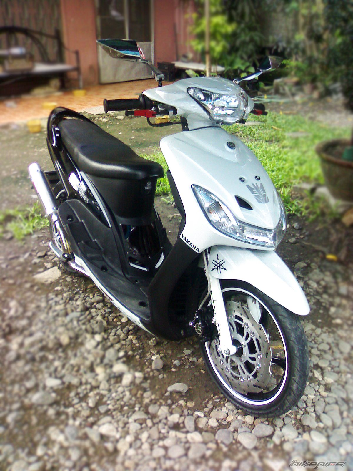 Photo 2302665