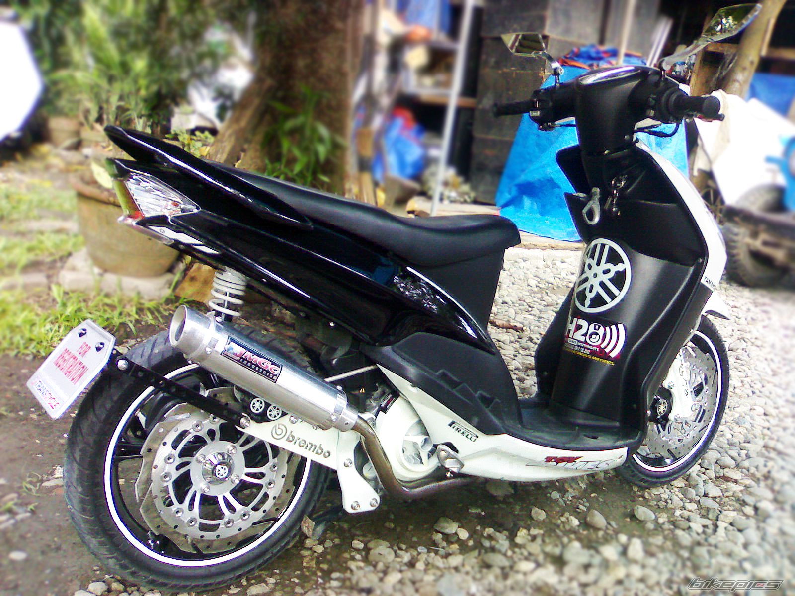 Photo 2302668