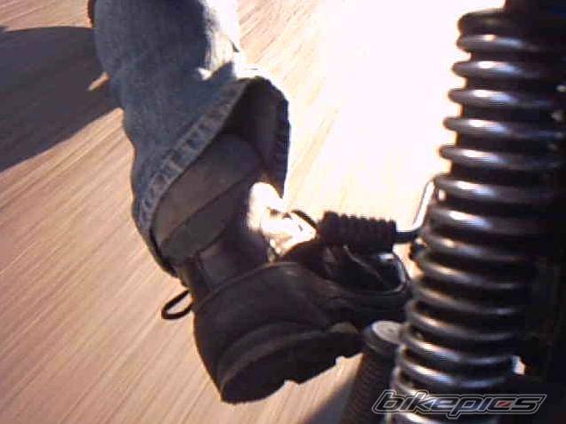 Photo 230273