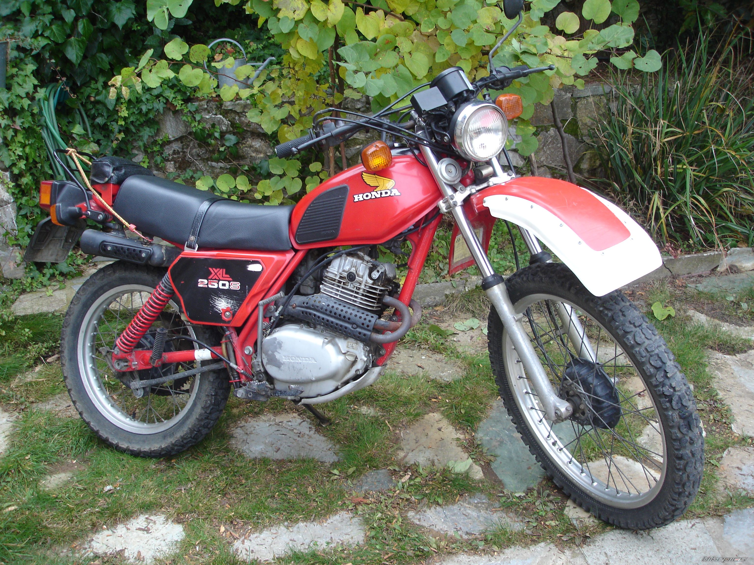 Photo 2302764