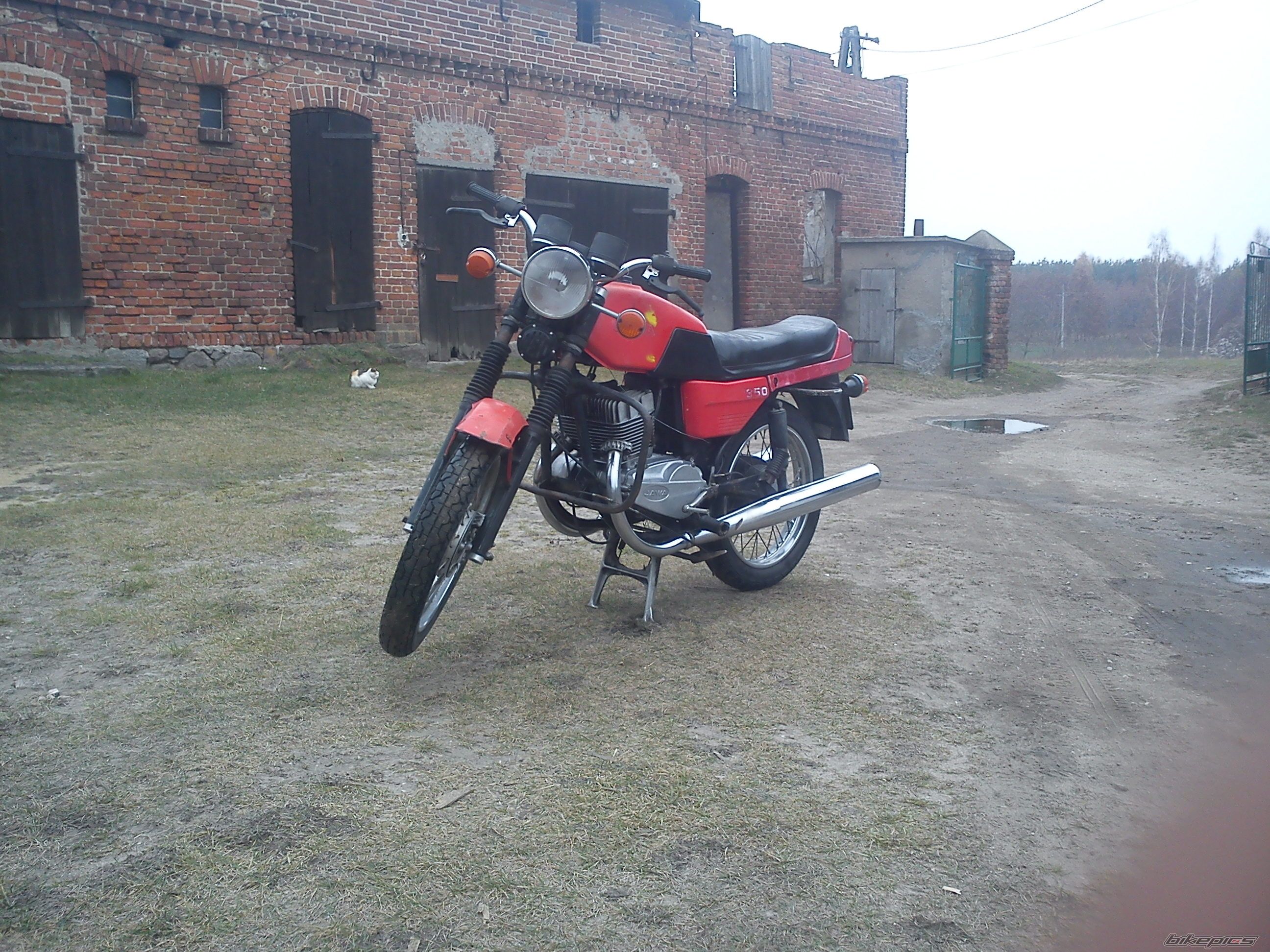 Photo 2302812