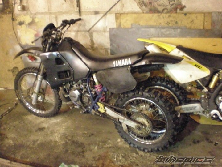 Photo 2302833