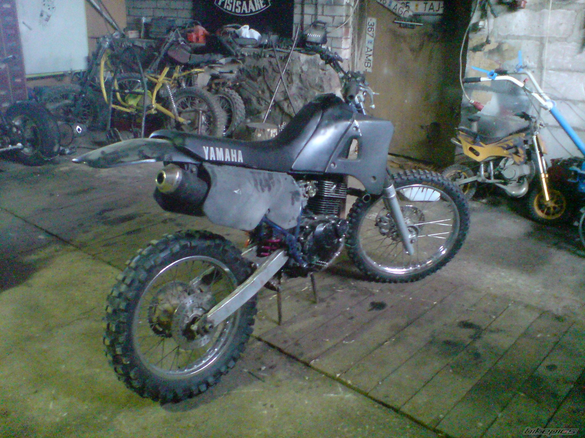 Photo 2302837