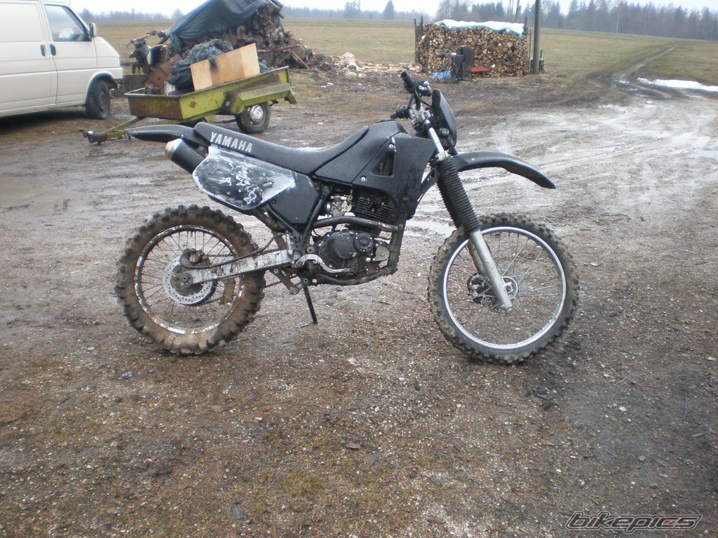 Photo 2302840