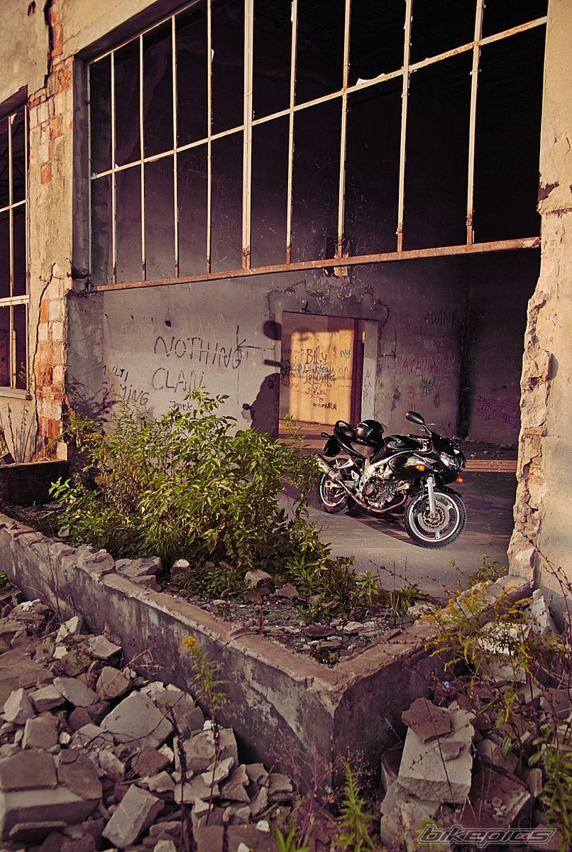 Photo 2302844