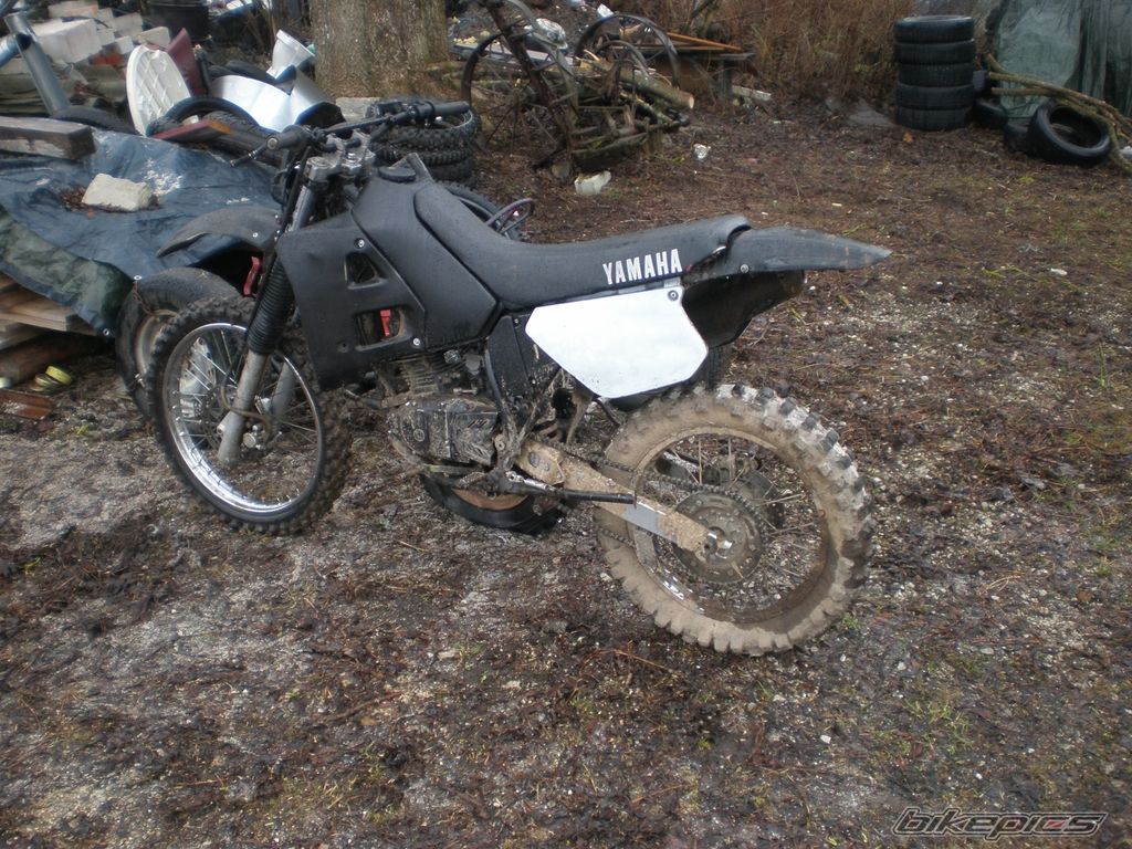 Photo 2302847