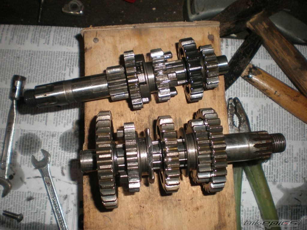Photo 2302856