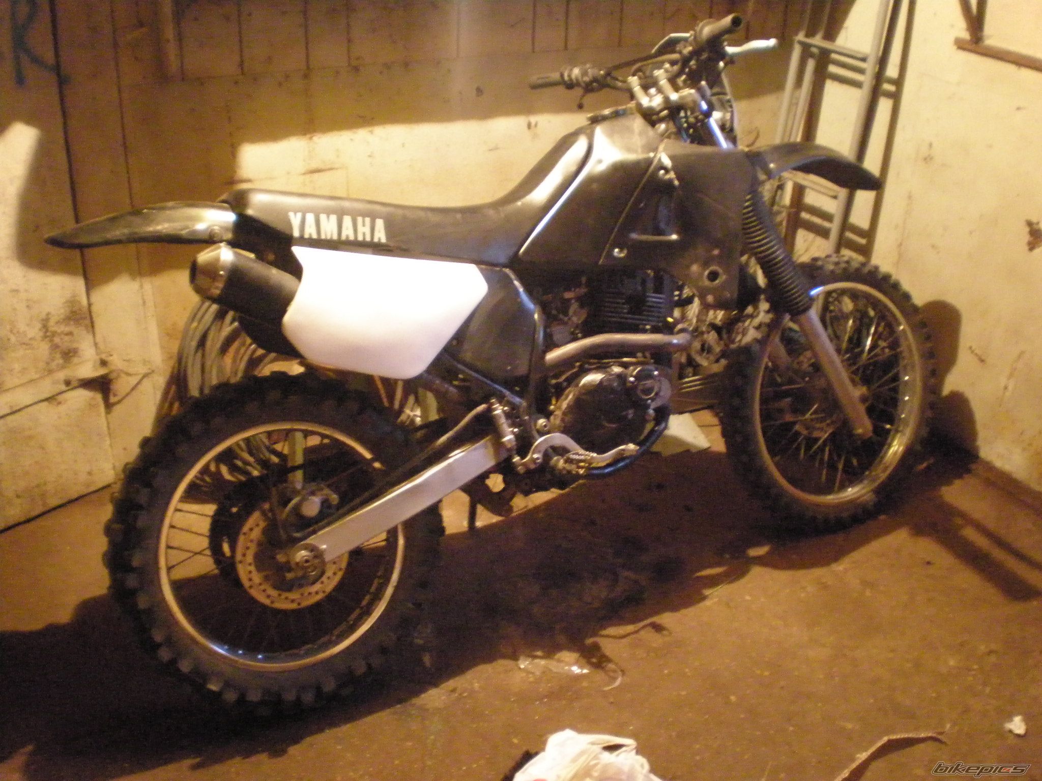 Photo 2302877