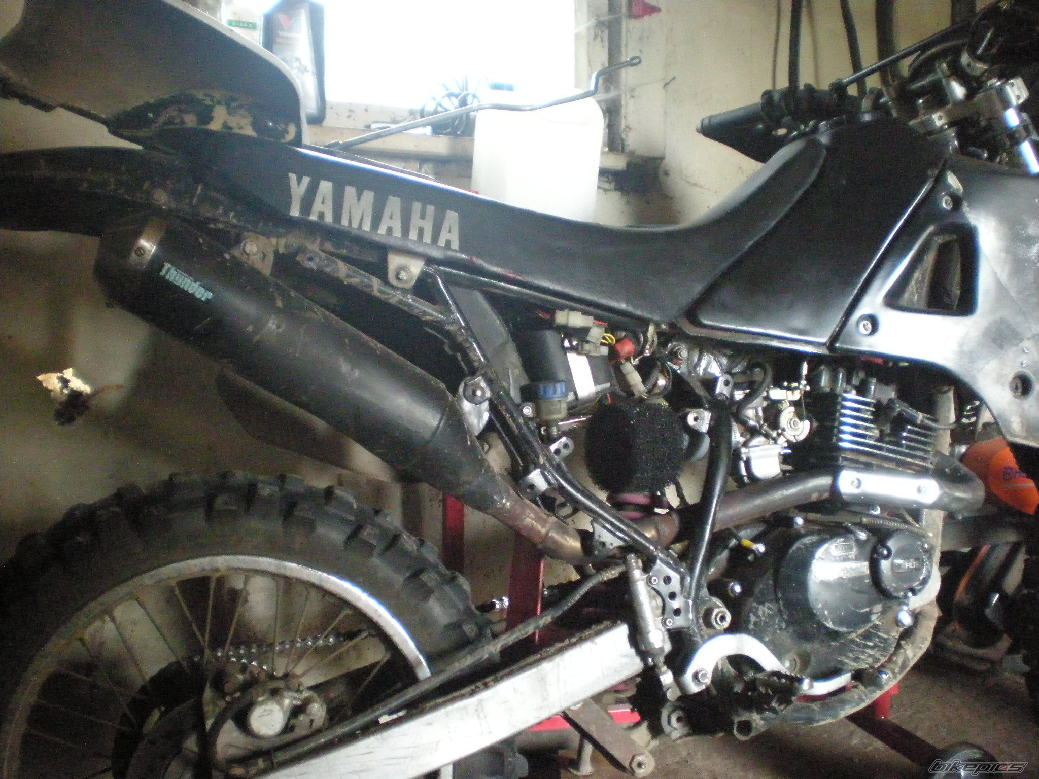 Photo 2302880