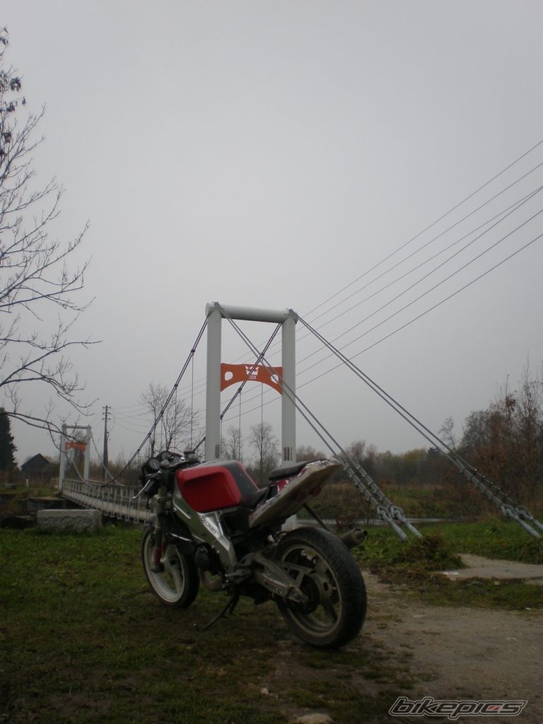 Photo 2302912