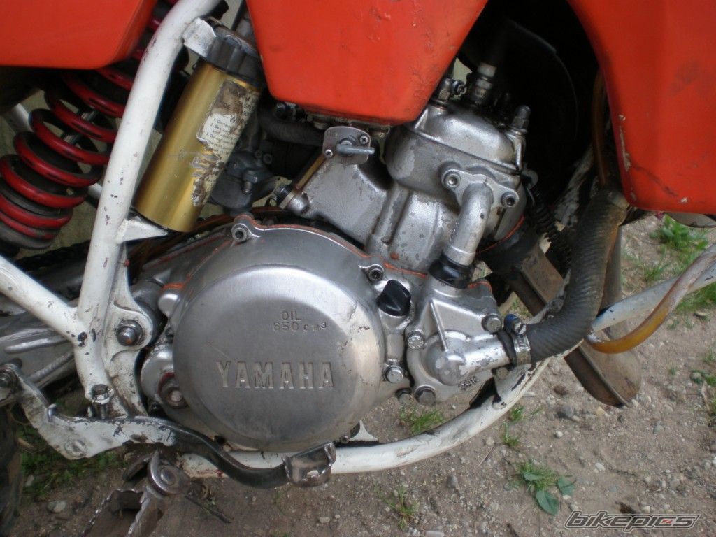 Bike Photo 2302925