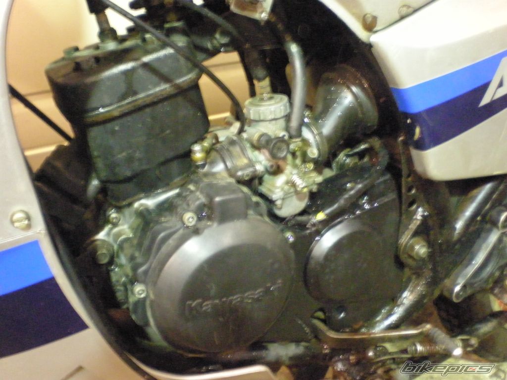 Photo 2302932