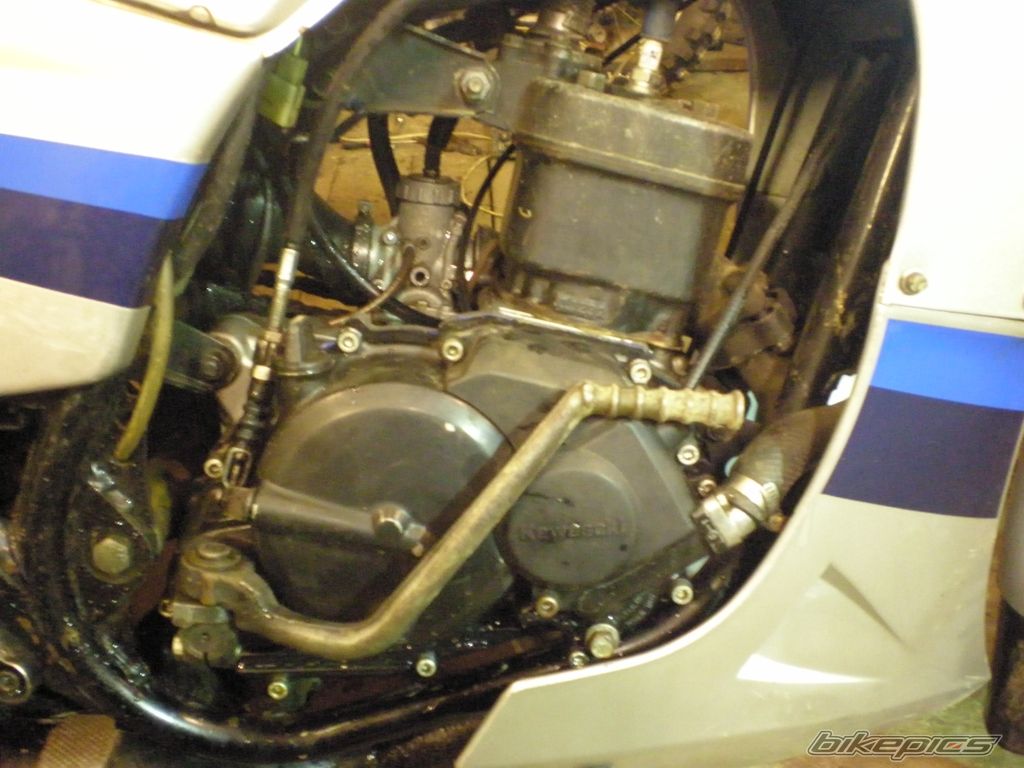 Photo 2302933