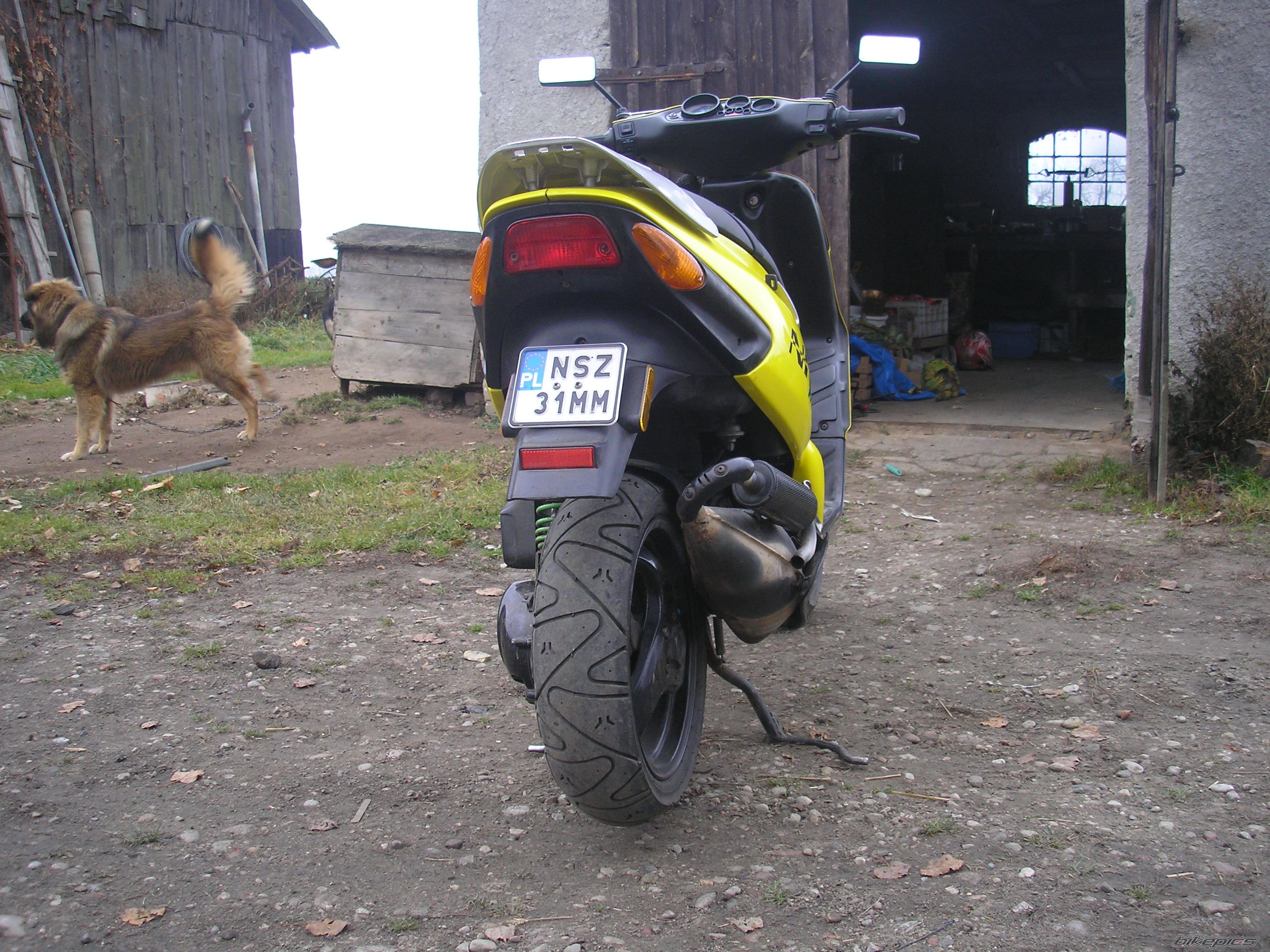 Photo 2302948