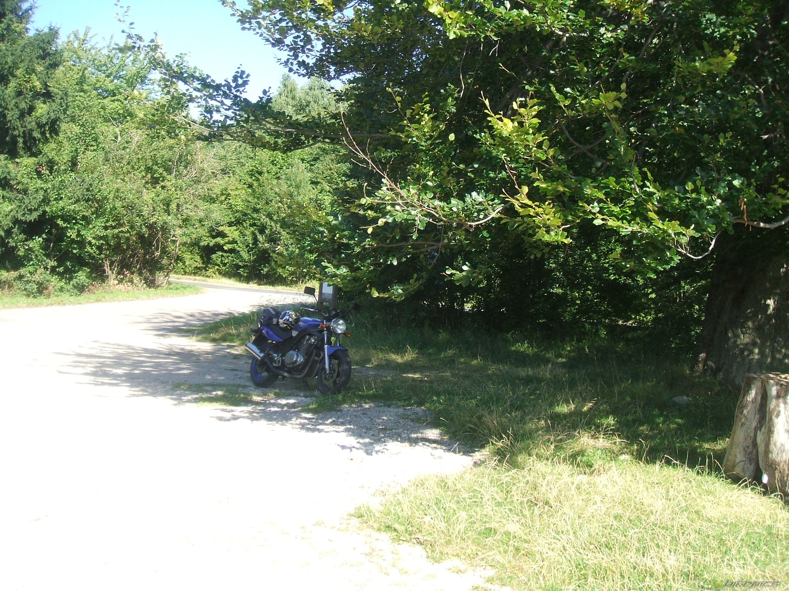 Photo 2302963