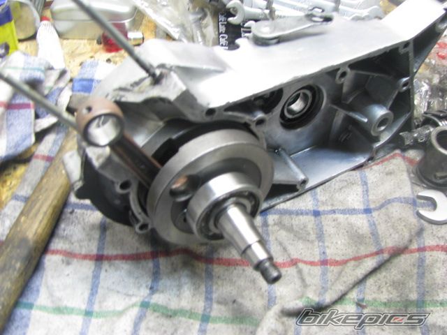 Photo 2303004