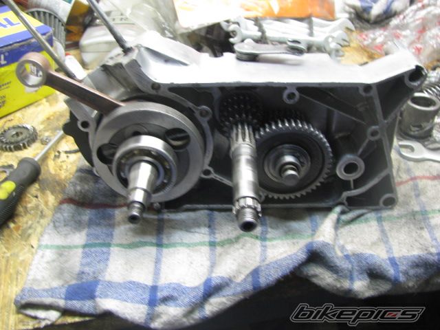 Photo 2303005