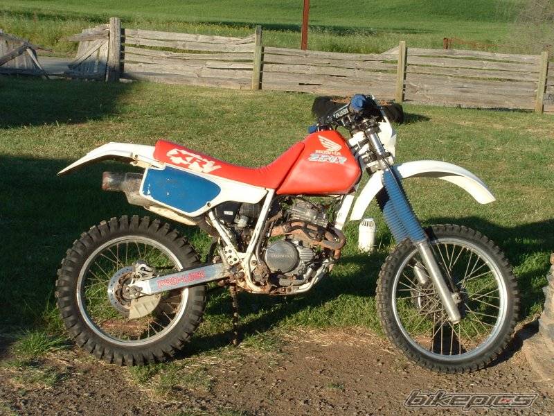 Bike Photo 230311