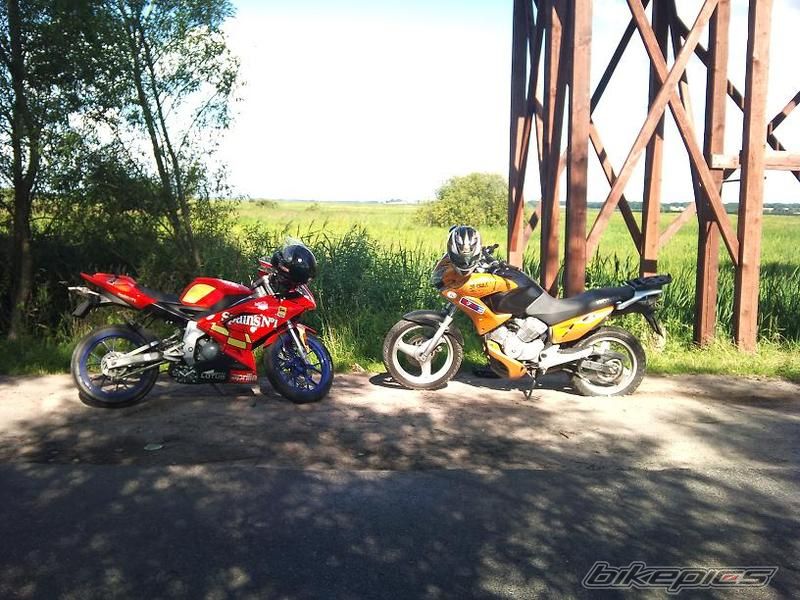 Photo 2303211