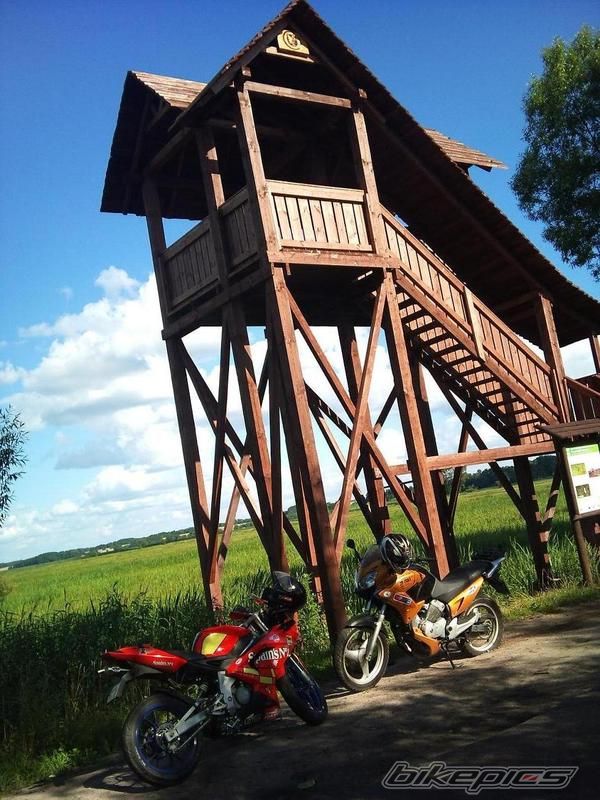 Photo 2303213