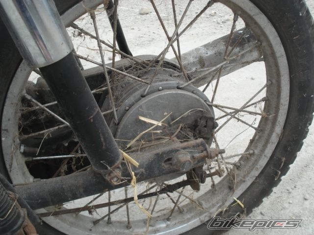 Photo 2303219