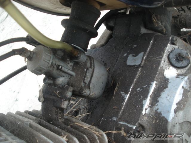 Photo 2303221