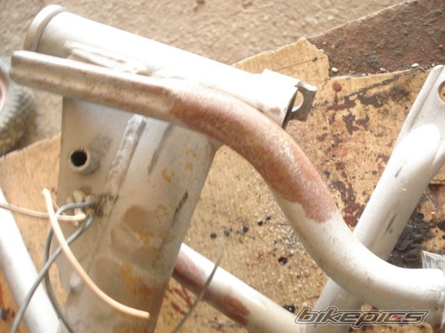 Photo 2303233