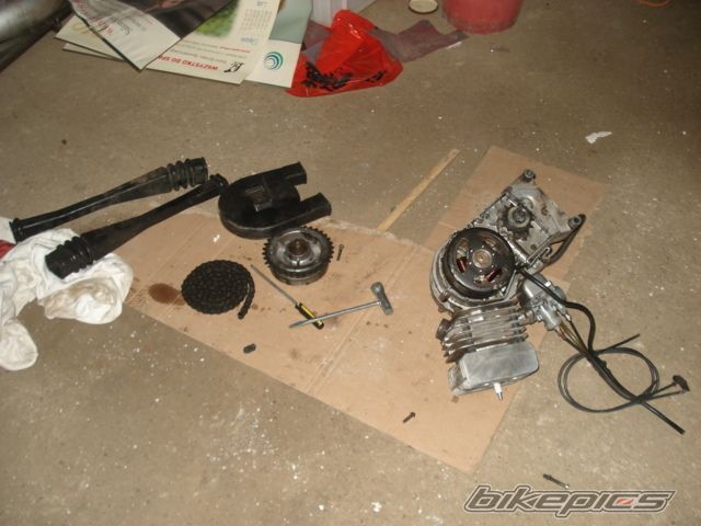 Photo 2303270