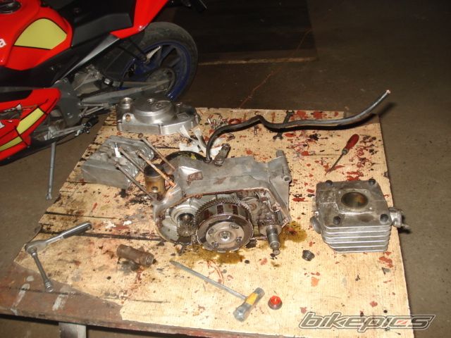 Photo 2303273