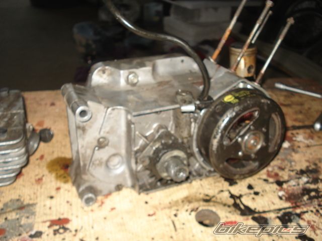Photo 2303275