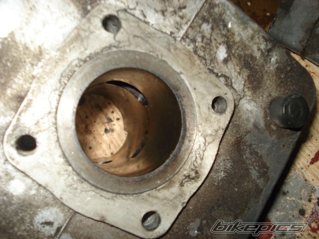 Photo 2303276