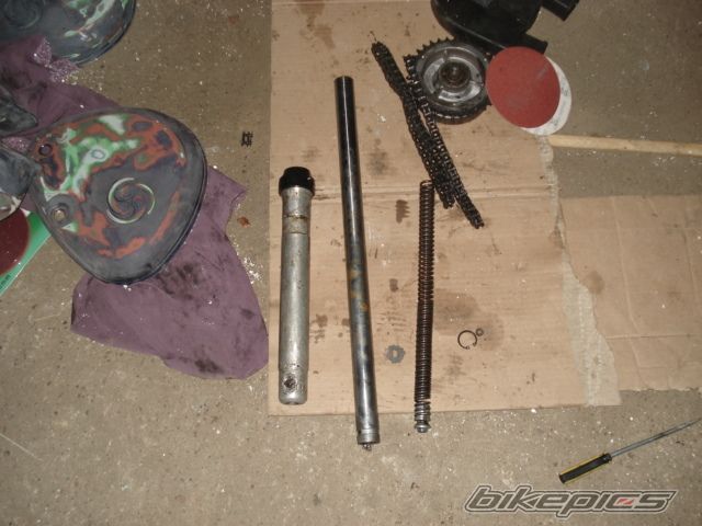 Photo 2303277