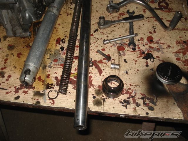Photo 2303278