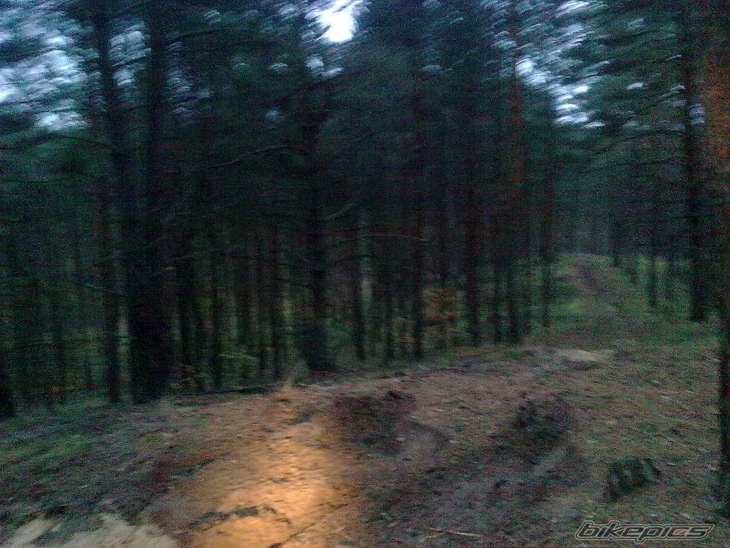 Bike Photo 2303292
