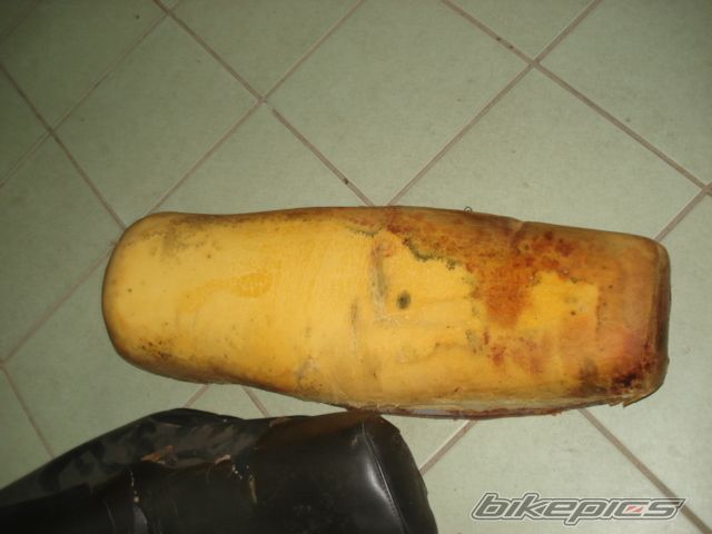 Photo 2303336