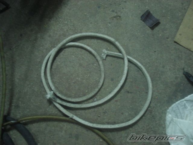 Photo 2303377